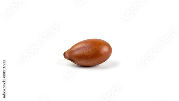 Obraz Close-up of a single brown plant seed on a clean white background, highlighting its natural texture and form