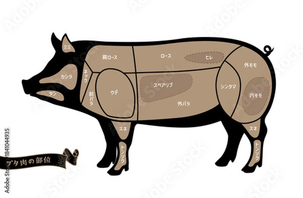 Obraz 豚のお肉の部位名称　日本語表記