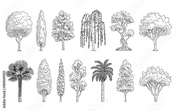 Obraz Collection of hand drawn black and white tree illustrations