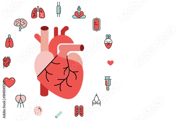 Obraz Human Heart and Organs Icons Medical Health Concept