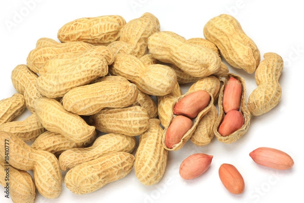 Fototapeta peanut