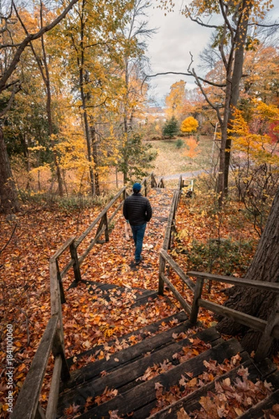 Obraz Man and dog walking down leaf covered wooden stairs on autumn day.