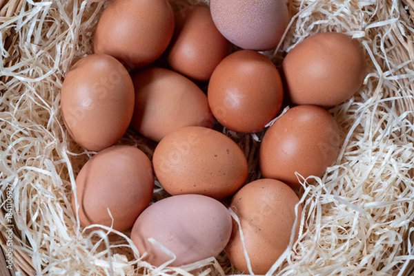 Obraz Basket of eggs with a white background