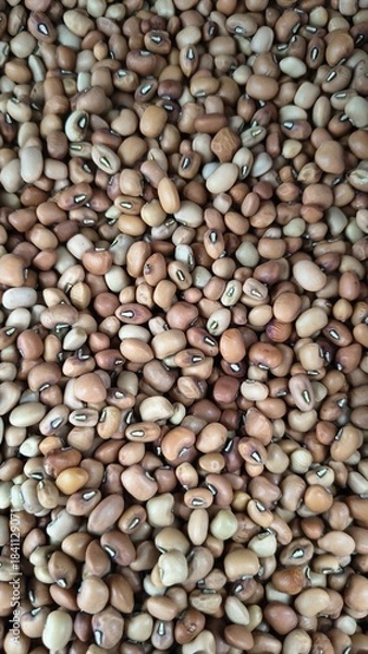 Obraz soy bean background