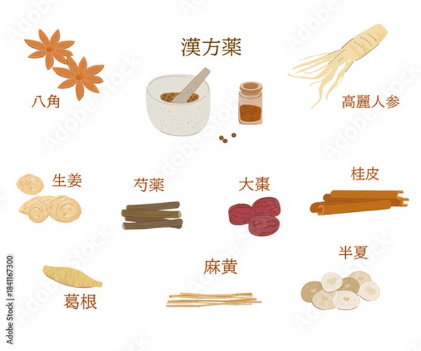 Obraz 漢方薬セット