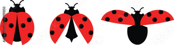 Obraz Three ladybugs in different poses isolated on white background