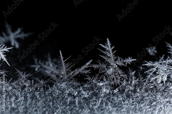 Obraz Detailed white frost ice crystals on black background. Winter season border concept. Decoration for Christmas frame with copy space