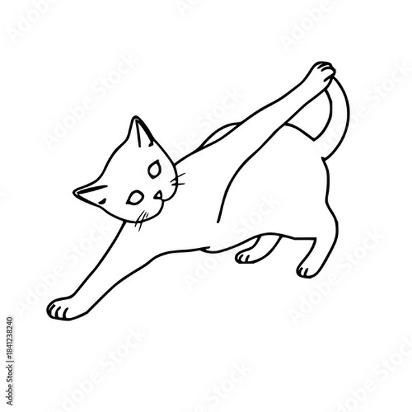 Fototapeta Minimal black line art cat stretching, clean outline, isolated on white background.