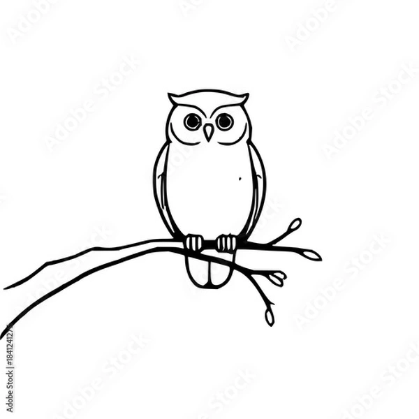 Fototapeta Minimalist owl illustration with clean modern lines, ideal for nature graphics, stickers, logos, wall art, and digital creative projects.