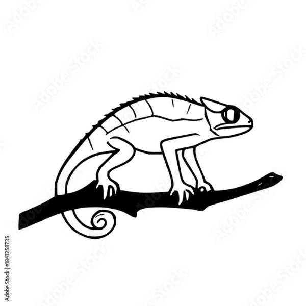 Fototapeta Minimalist chameleon illustration with clean modern lines, perfect for wildlife graphics, stickers, logos, nature themes, and digital design projects.