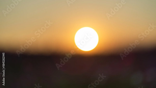 Obraz Golden sunset with blurred foreground creating dreamy warm effect.