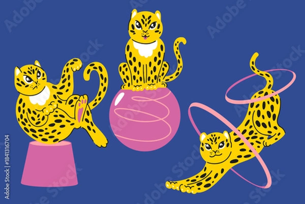 Obraz Circus leopard set with gymnastic rings, stands, balls, yellow wild cats on blue and pink