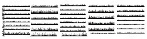 Fototapeta Collection of Black Silhouette Grass Borders and Elements
