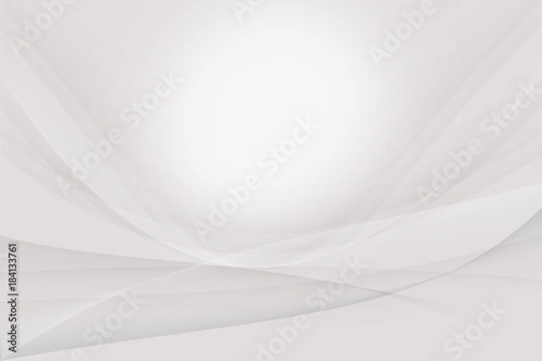 Fototapeta White and gray Silver  abstract  background,business card background.