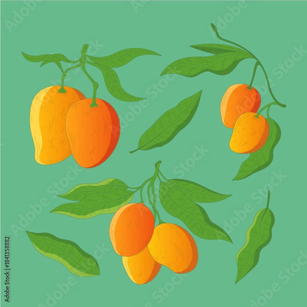 Fototapeta Vibrant mango fruit clusters with lush green leaves illustrated against a solid teal background pattern