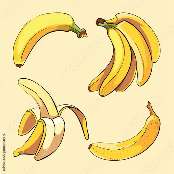 Fototapeta Collection of stylized yellow bananas showing different stages from whole to partially peeled fruit illustrations