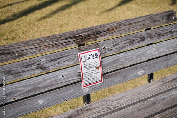 Obraz 宮崎県宮崎市の道の駅フェニックスのベンチ