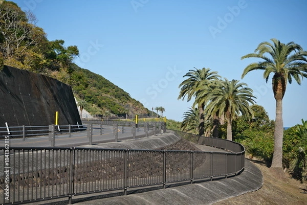 Obraz 宮崎県宮崎市の日南海岸