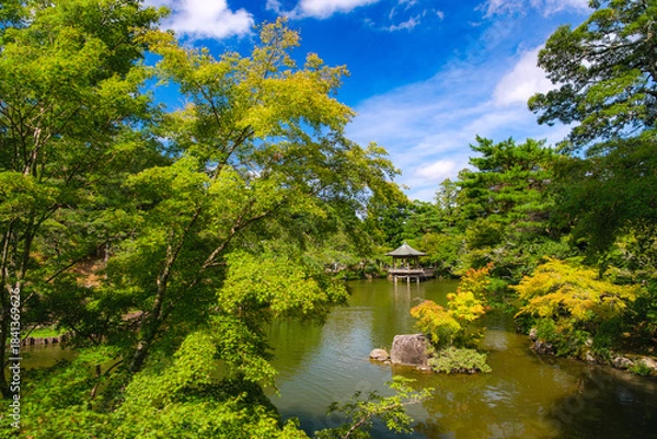 Fototapeta 千葉県成田市 成田山公園 新緑の竜智の池