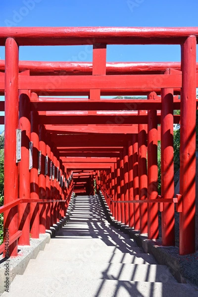 Obraz 山口県の元乃隅神社(もとのすみじんじゃ)、赤色の鳥居が神秘的で美しい