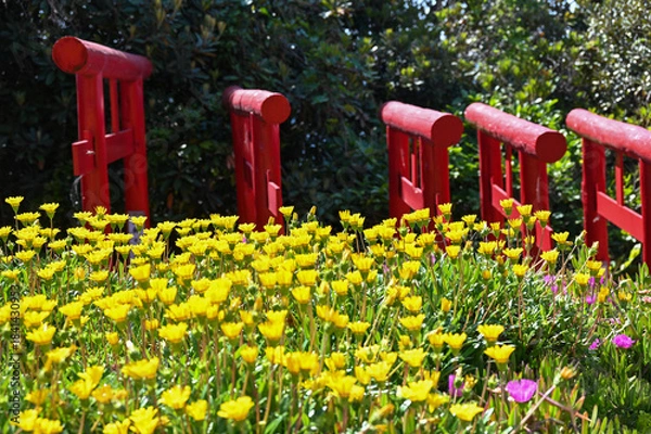 Obraz 山口県の元乃隅神社(もとのすみじんじゃ)、赤色の鳥居が神秘的で美しい