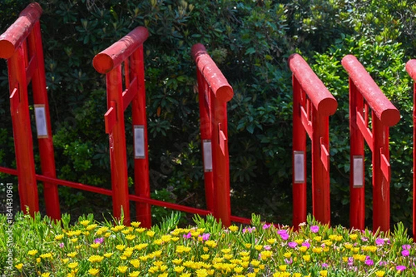 Obraz 山口県の元乃隅神社(もとのすみじんじゃ)、赤色の鳥居が神秘的で美しい