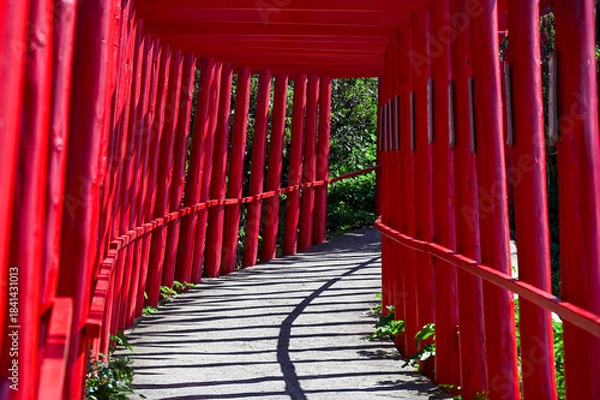 Obraz 山口県の元乃隅神社(もとのすみじんじゃ)、赤色の鳥居が神秘的で美しい