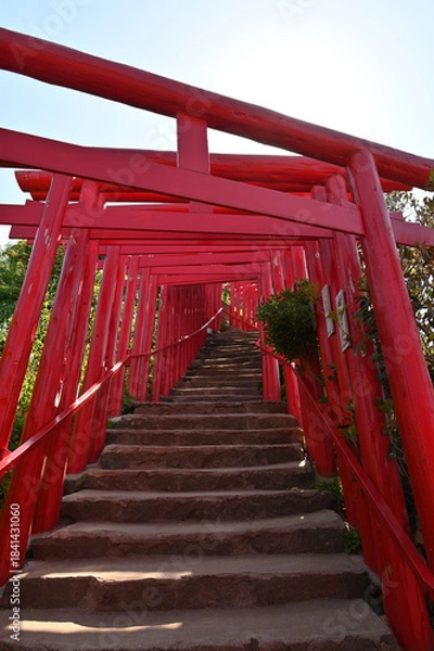 Obraz 山口県の元乃隅神社(もとのすみじんじゃ)、赤色の鳥居が神秘的で美しい