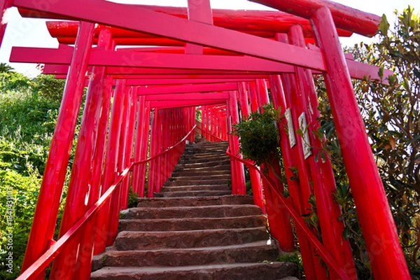 Obraz 山口県の元乃隅神社(もとのすみじんじゃ)、赤色の鳥居が神秘的で美しい