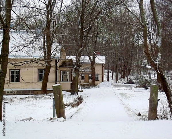 Obraz Winter Driveway