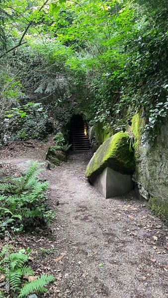 Obraz Tranquil Moss-Covered Stone Bench in a Secluded Garden Nook