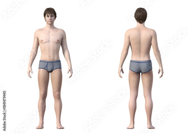 Obraz 下着姿の若い男性の全身正面と後ろ姿の3Dイラストセット
