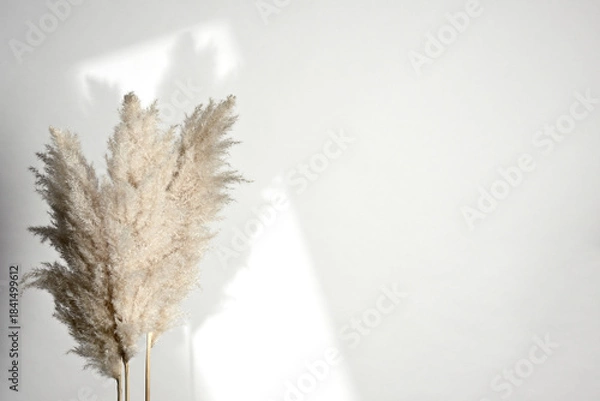 Obraz Background with dried grass plants
