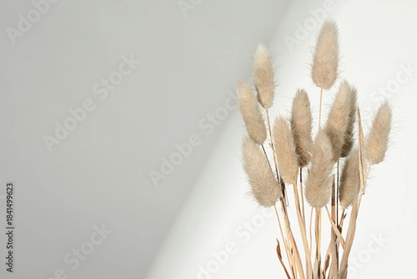 Obraz Background with dried grass plants