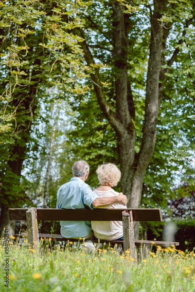 Fototapeta Rear view of a romantic elderly couple enjoying nature while sitting together on a bench in a tranquil day of summer in the park