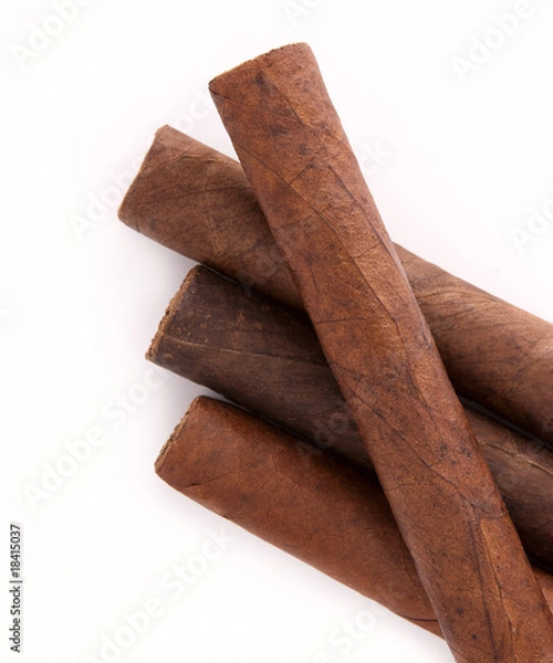Obraz cigar