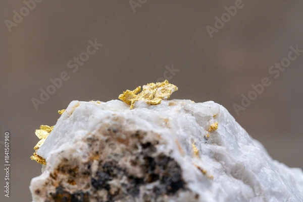 Obraz 金の鉱石の素材写真