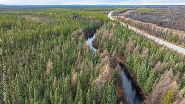 Fototapeta Drone view river in forest among coniferous trees. Road and power lines along river. Quebec, Canada.