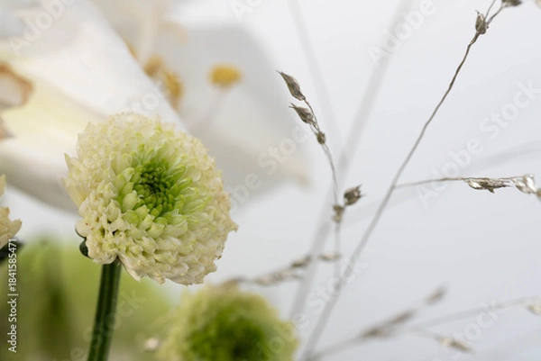 Fototapeta Macro - Fine art of a White Flower with many Details - Many Details. High quality photo