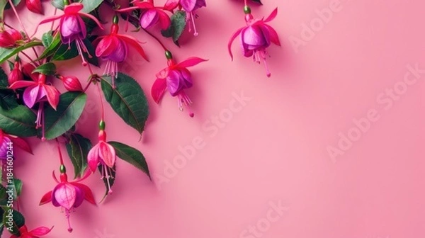 Obraz Vibrant Fuchsia Bloom
