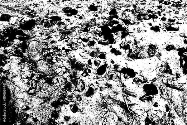 Obraz Black and White Grunge Texture Background