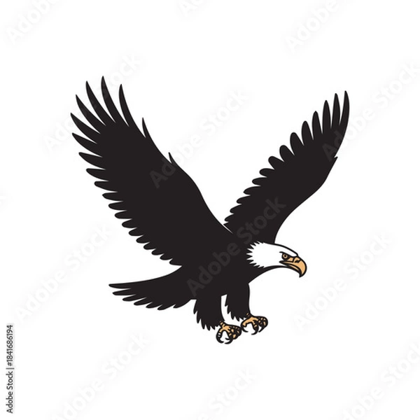 Obraz Bald Eagle in Flight with Spread Wings and Talons
