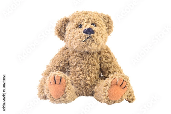 Obraz Teddy bear isolated on white