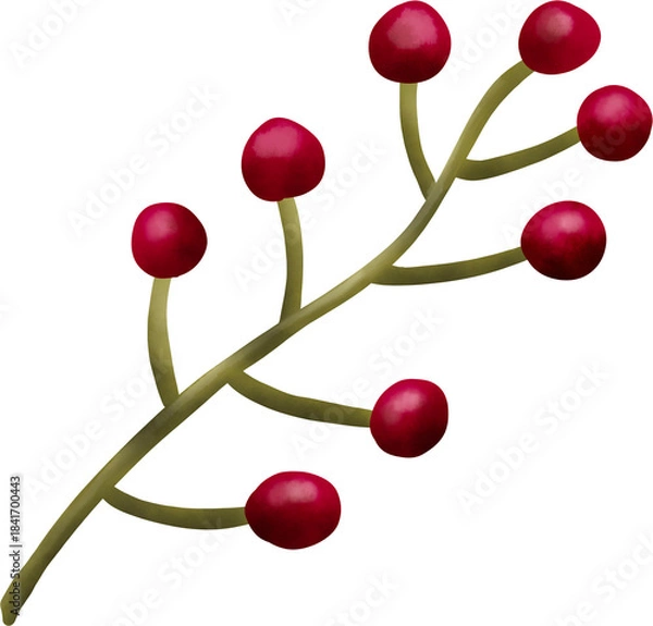 Obraz 식물 이미지