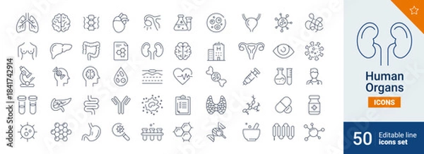 Obraz Human icons Pixel perfect. man, science, brain, ...	
