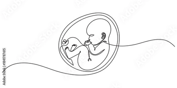 Obraz Baby embryo in womb one line drawing. Cute unborn fetus baby on mother womb isolated on white background, Baby embryo in womb in one continuous line drawing. Healthy pregnancy and premature symbol.