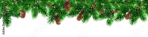 Fototapeta Fir Tree Branches on White Background – Christmas Greenery Decoration for Holiday Scenery