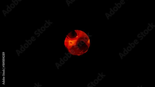 Fototapeta Film Burn Transition 03