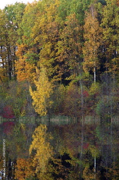 Obraz Autumn forest reflection by the pond