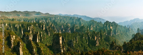 Fototapeta Zhangjiajie Forest Park. Gigantic pillar mountains rising from the canyon. Hunan province, China